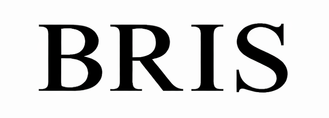 BRIS Inflatable Boats — 12.5 Hunter Dinghies & Catamarans